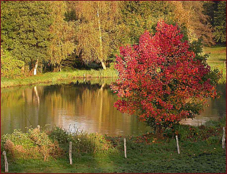 Herbstliches Anglerglück