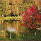 Herbstliches Anglerglück