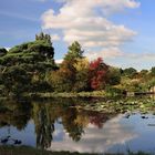 Herbstliches Arboretum