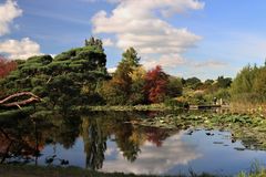 Herbstliches Arboretum