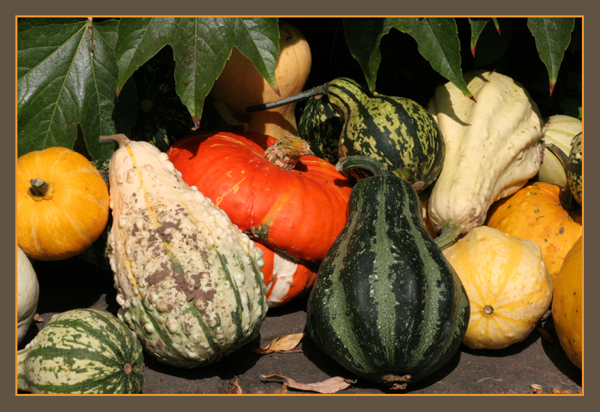 herbstliches Arrangement