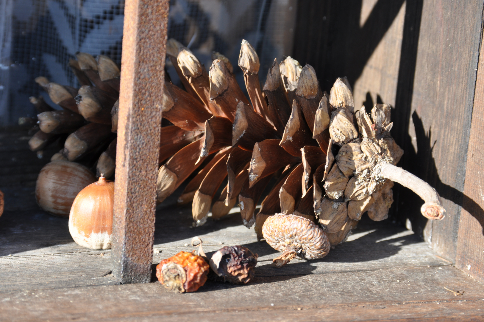 Herbstliches Arrangement