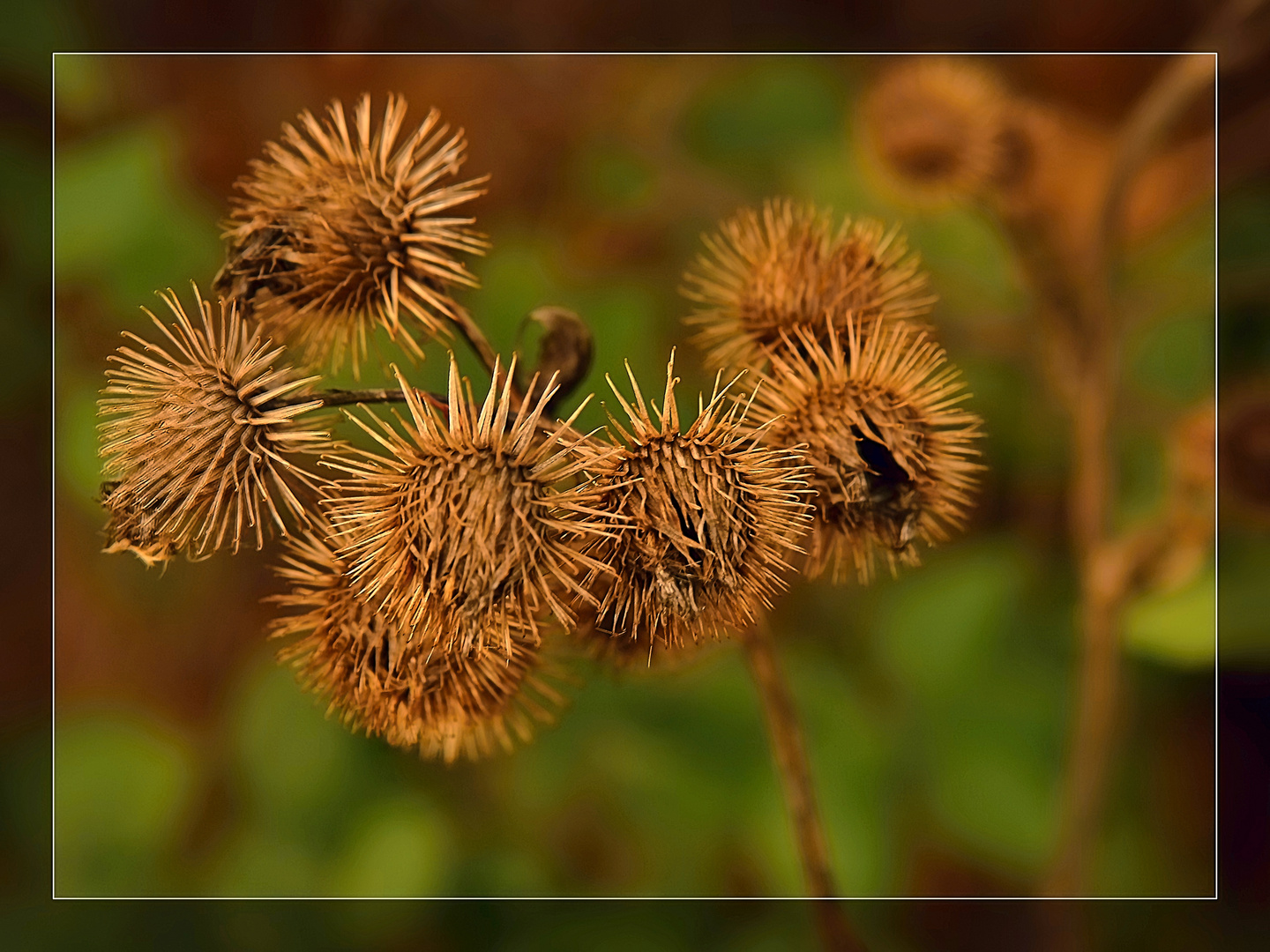 Herbstliches Arrangement