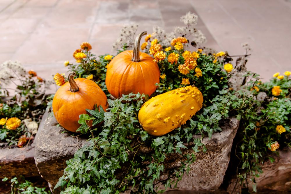 Herbstliches Arrangement