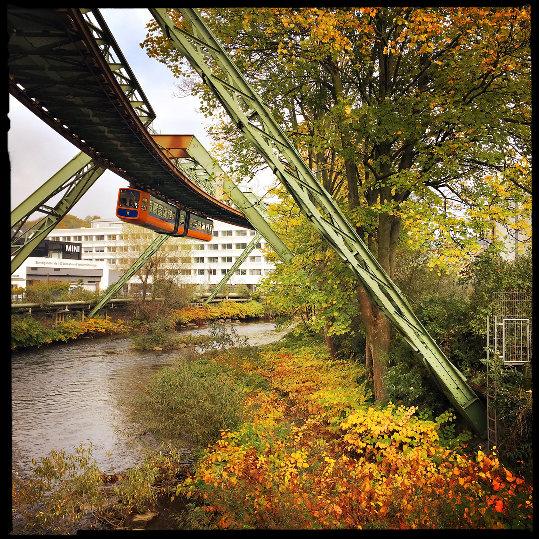 Herbstliches Arrenberg