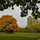 herbstliches Augsburg