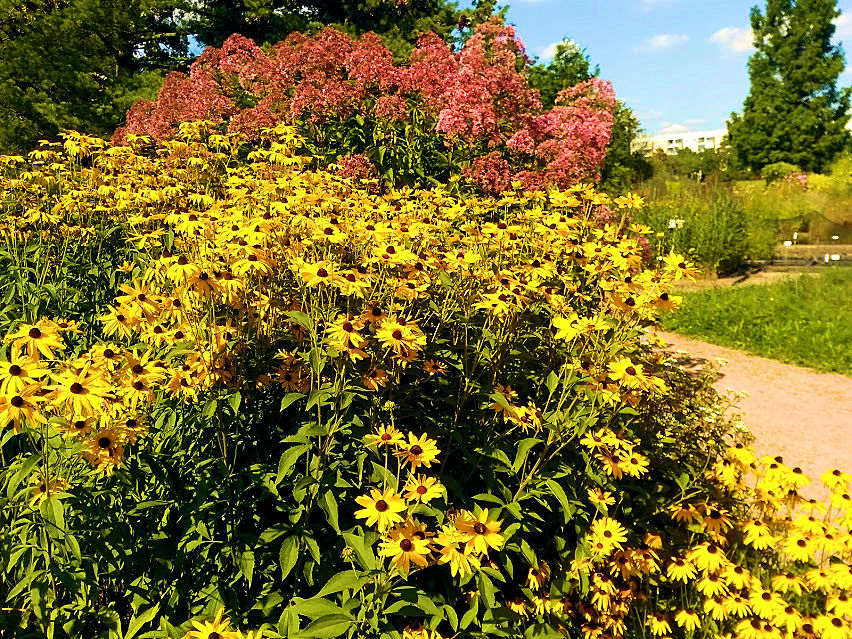 Herbstliches aus dem Botanischen Garten in Dresden