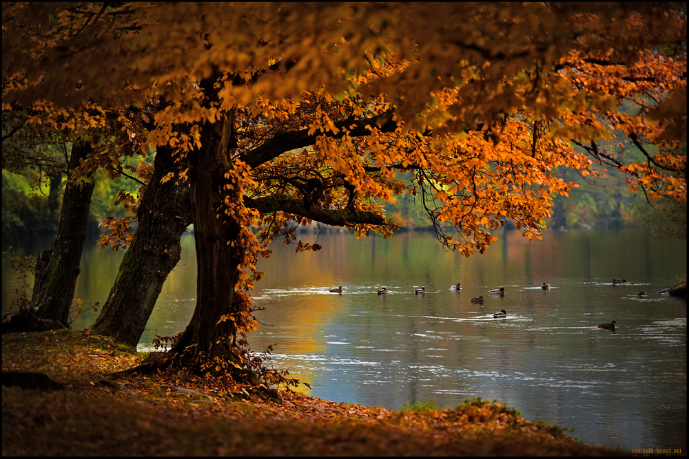 herbstliches aus dem Ländle