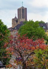 Herbstliches aus Gelsenkirchen