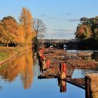 ....herbstliches aus Kiel Holtenau