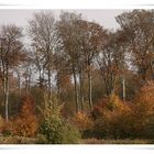 Herbstliches aus Lemgo