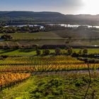 "Herbstliches aus Unterfranken"