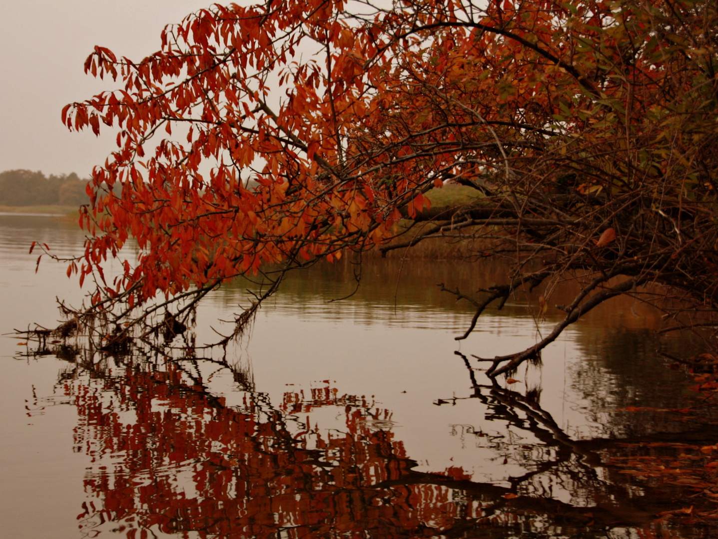 ~Herbstliches~