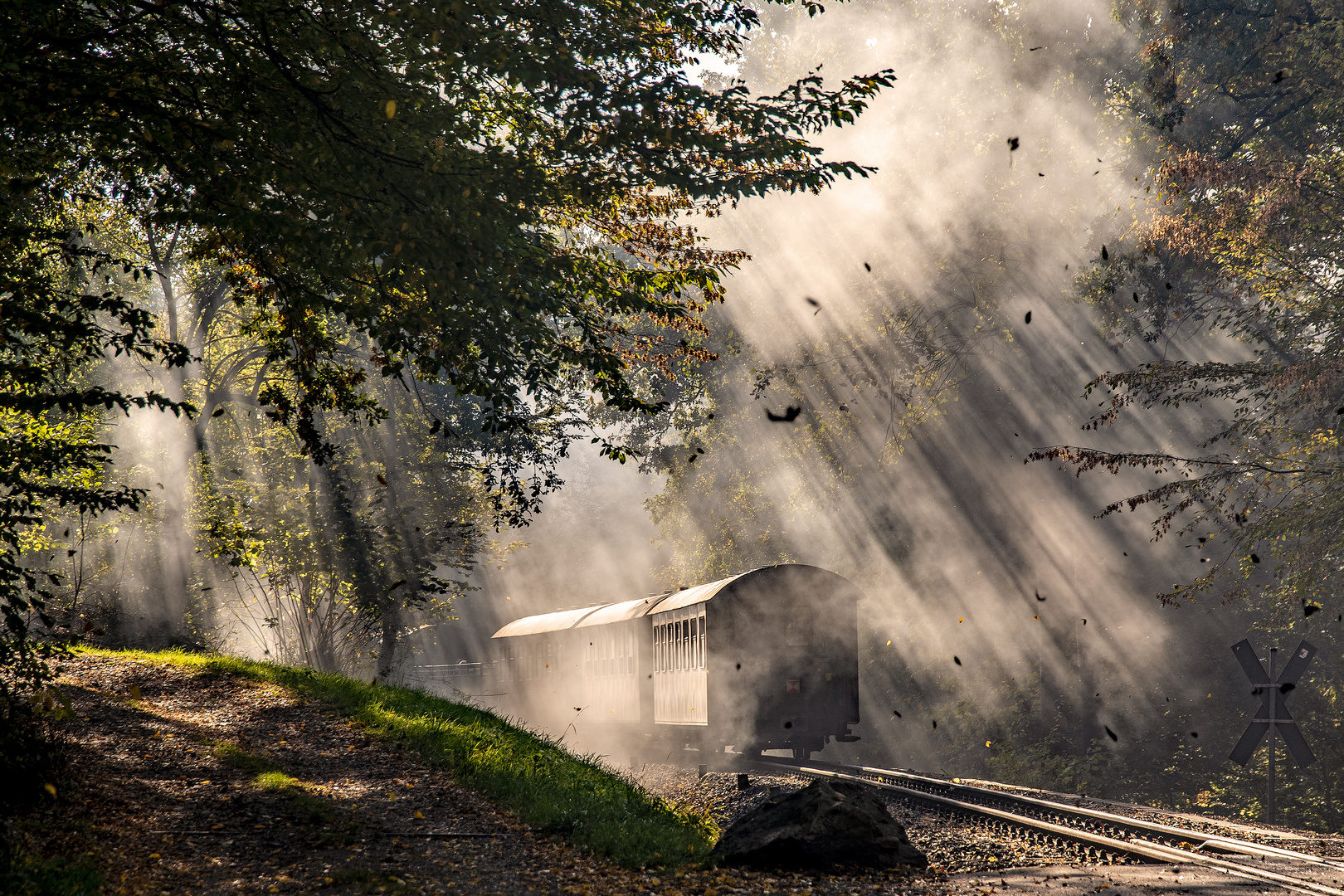 Herbstliches Bahnerlebnis in Sachsen