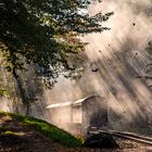 Herbstliches Bahnerlebnis in Sachsen