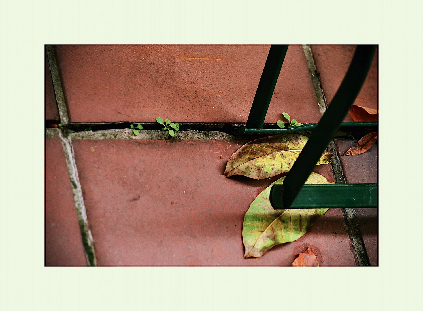 herbstliches Balkonstillleben 