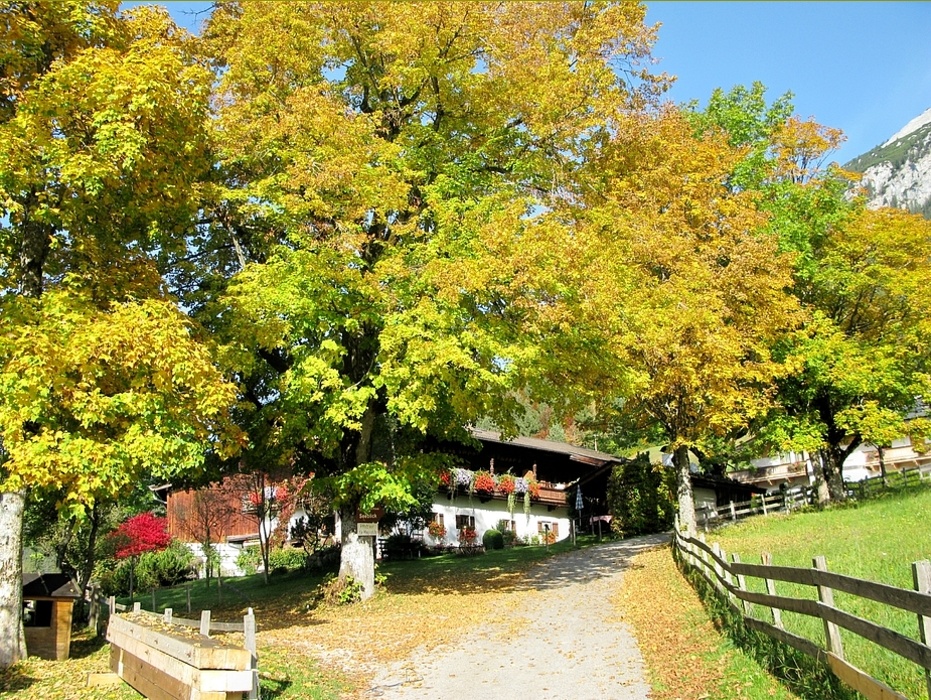 Herbstliches Bauernhaus am Hintersteiner See