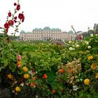 Herbstliches Belvedere