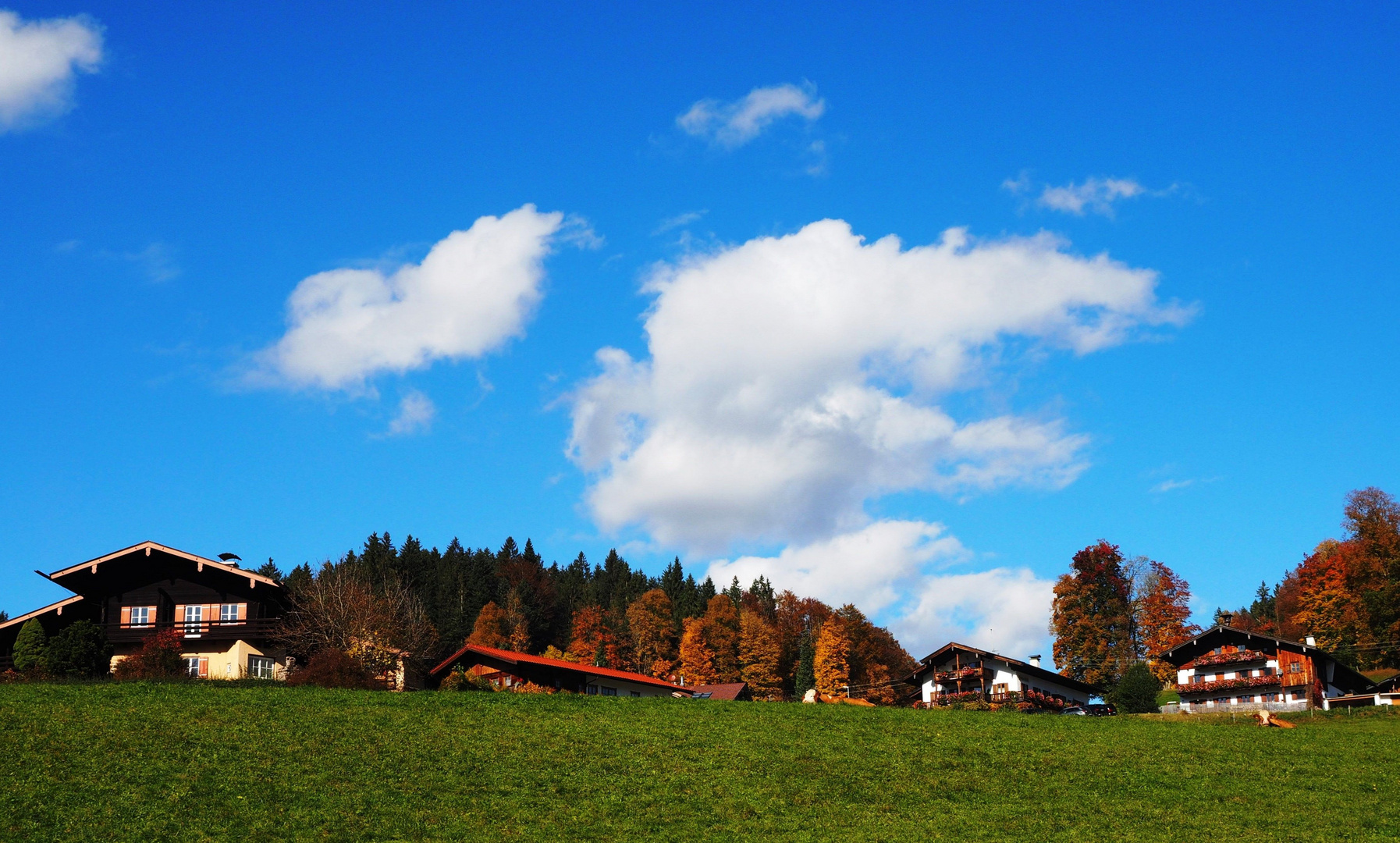 Herbstliches Berchtesgadener Land