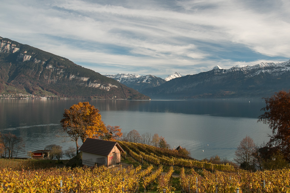 Herbstliches Berner Oberland