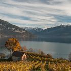 Herbstliches Berner Oberland