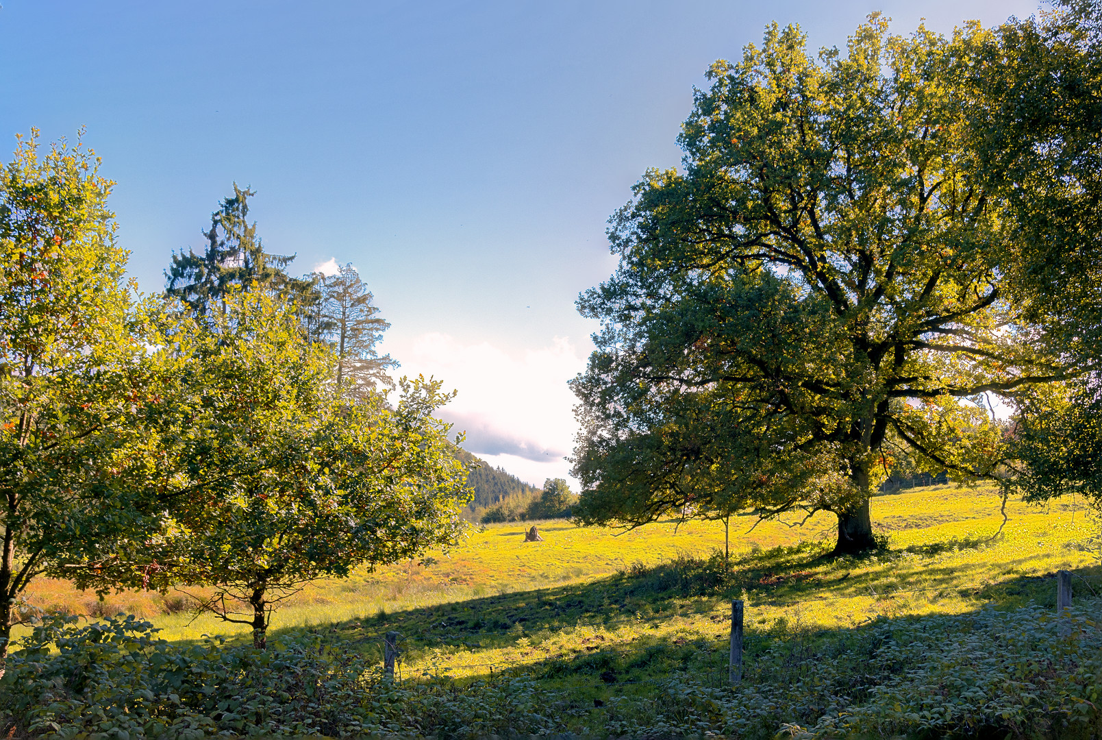 Herbstliches Bibertal 2