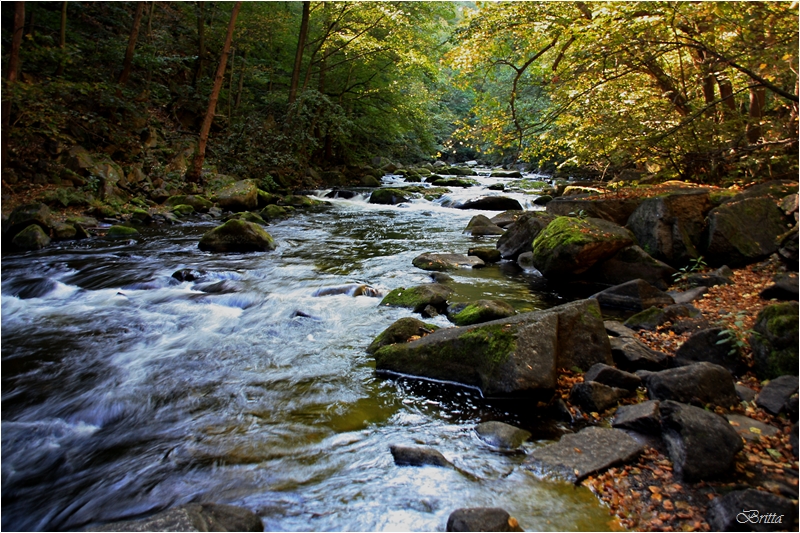 Herbstliches Bodetal