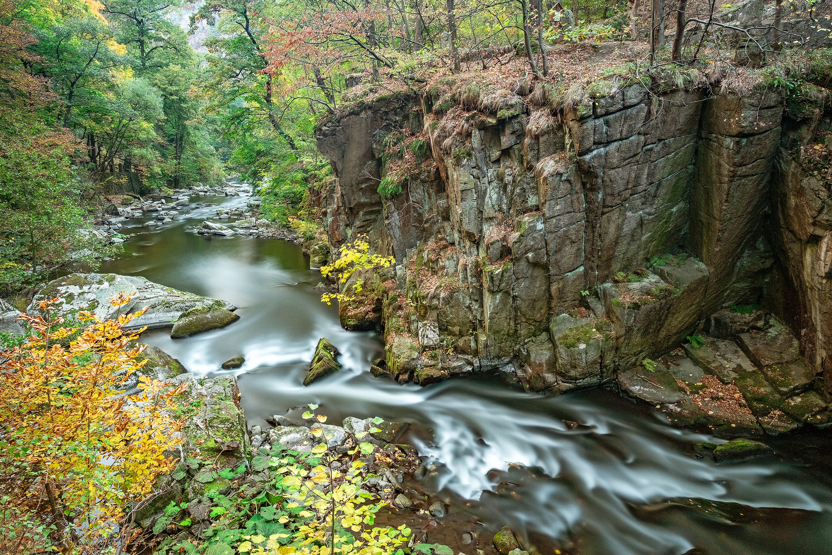 Herbstliches Bodetal