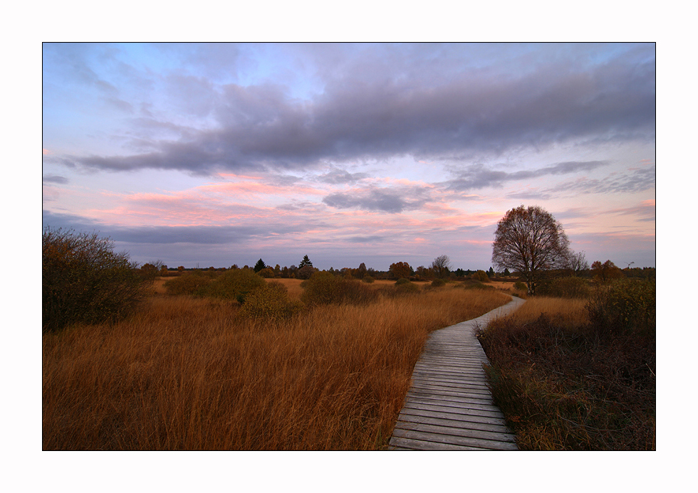 Herbstliches Brackvenn