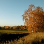 herbstliches Brandenburg