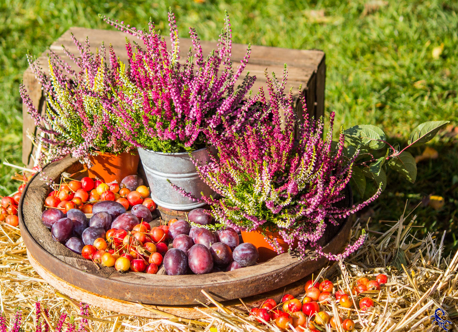 Herbstliches Bukett