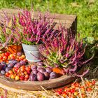 Herbstliches Bukett