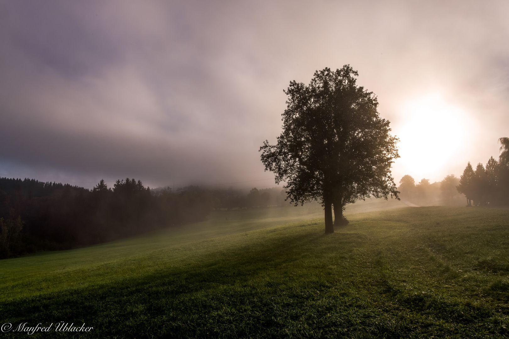 Herbstliches ...