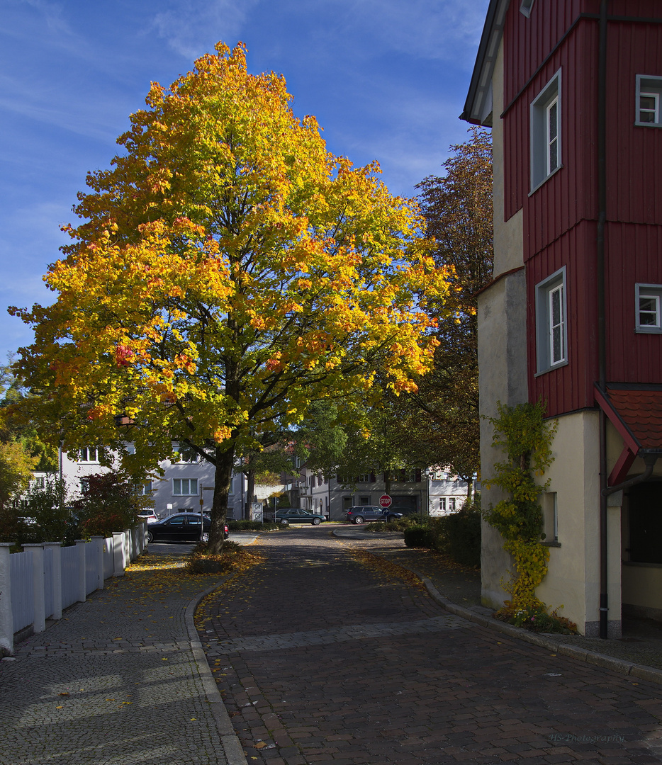 Herbstliches...