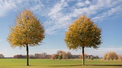 herbstliches  ...