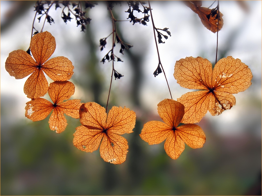 Herbstliches Collier