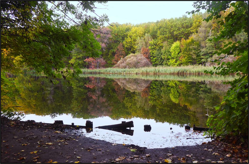 Herbstliches ...