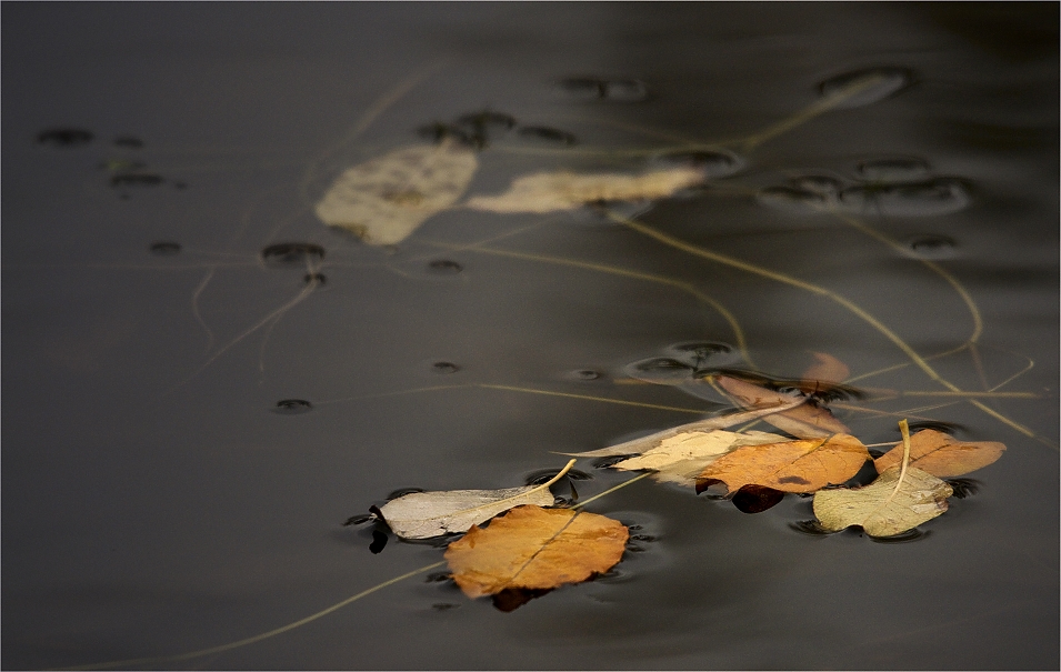 herbstliches..