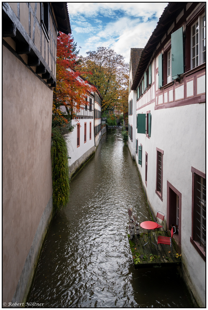 Herbstliches Dalbeloch