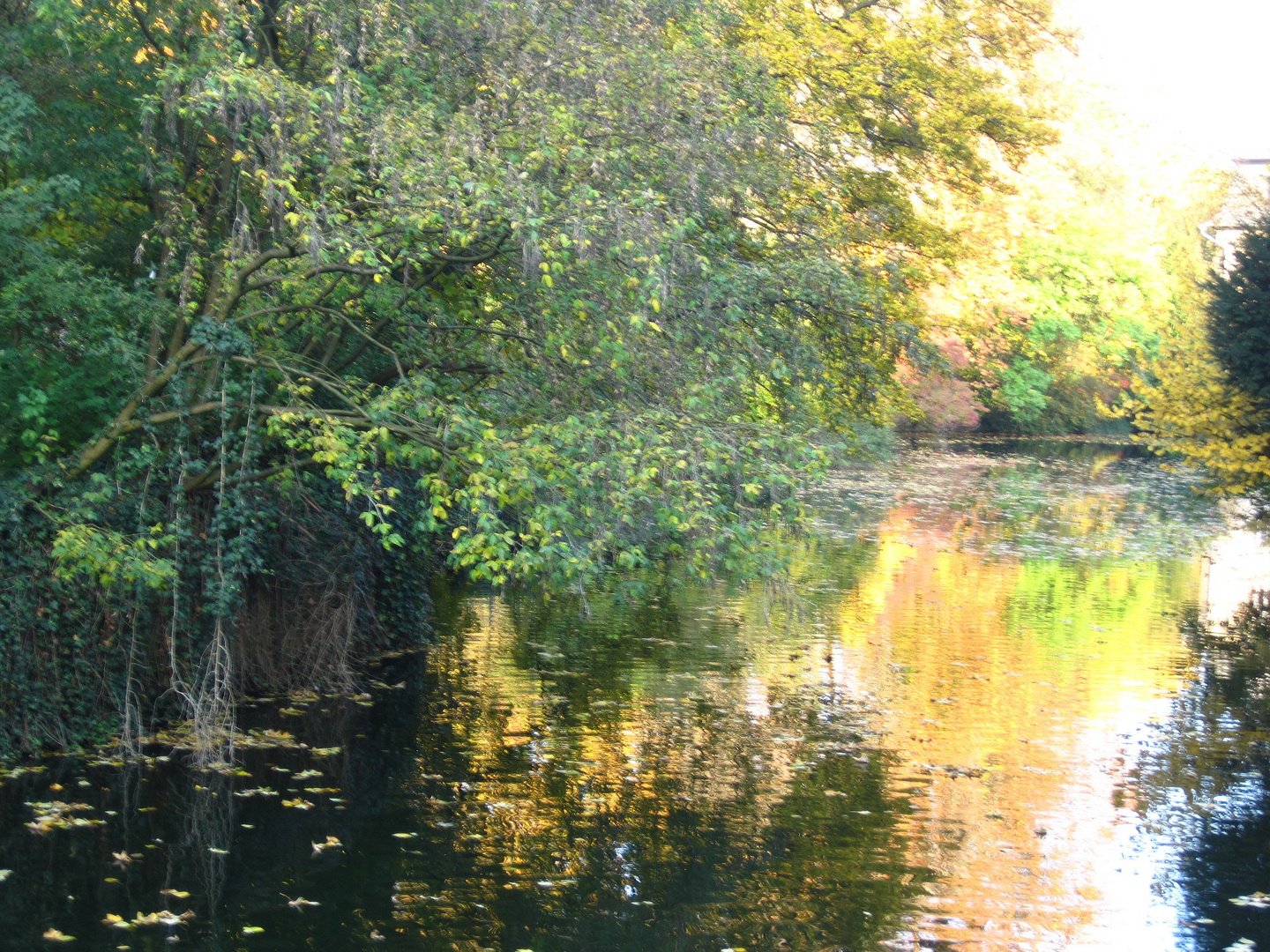 herbstliches Detmold