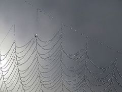 Herbstliches Diadem