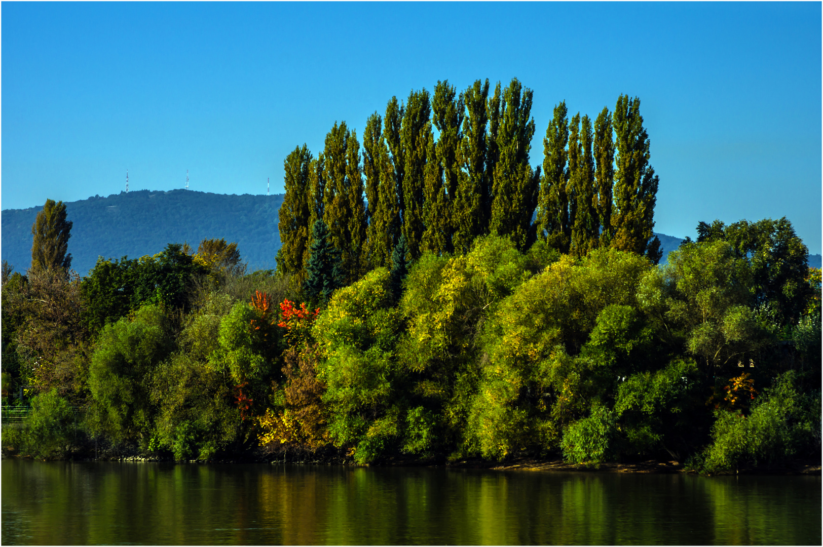 herbstliches Donauufer