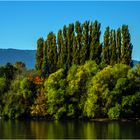 herbstliches Donauufer