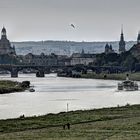 Herbstliches Dresden