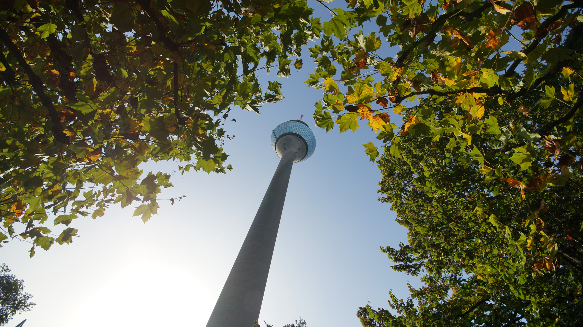 Herbstliches Düsseldorf