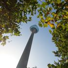 Herbstliches Düsseldorf