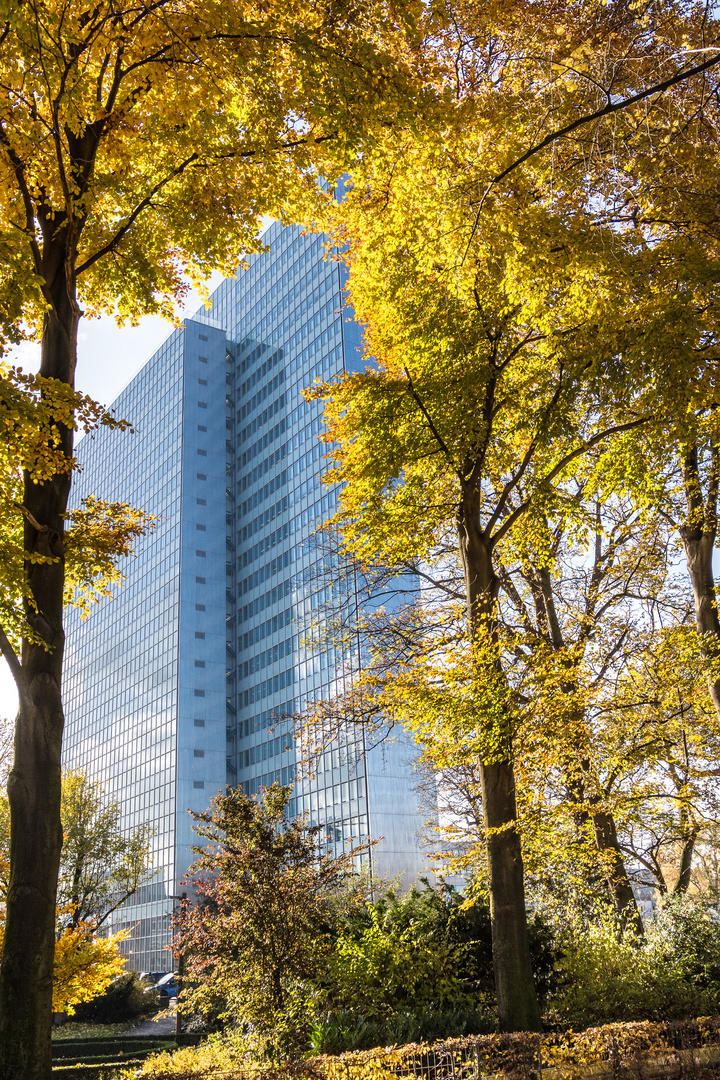 Herbstliches Düsseldorf