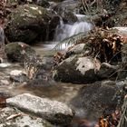 Herbstliches Durcheinander