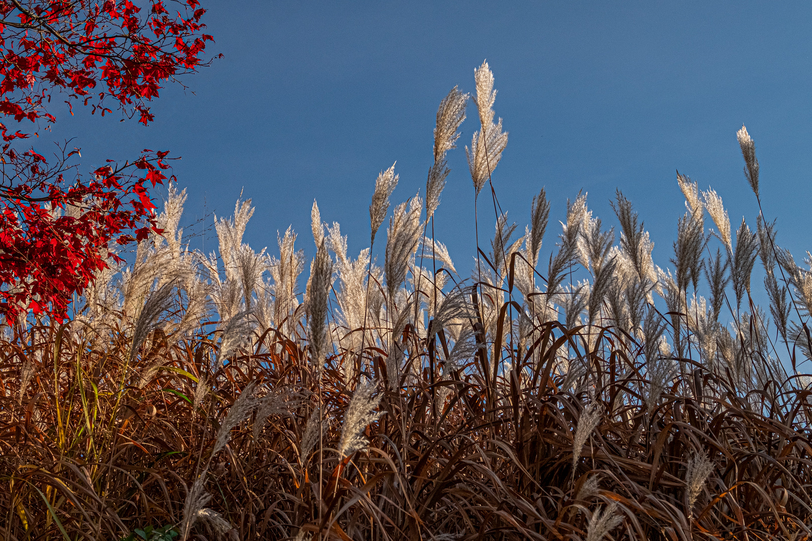 Herbstliches