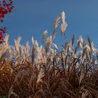 Herbstliches